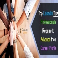 Top Linkedin Tips Professionals Require to Advance  Career Profile
